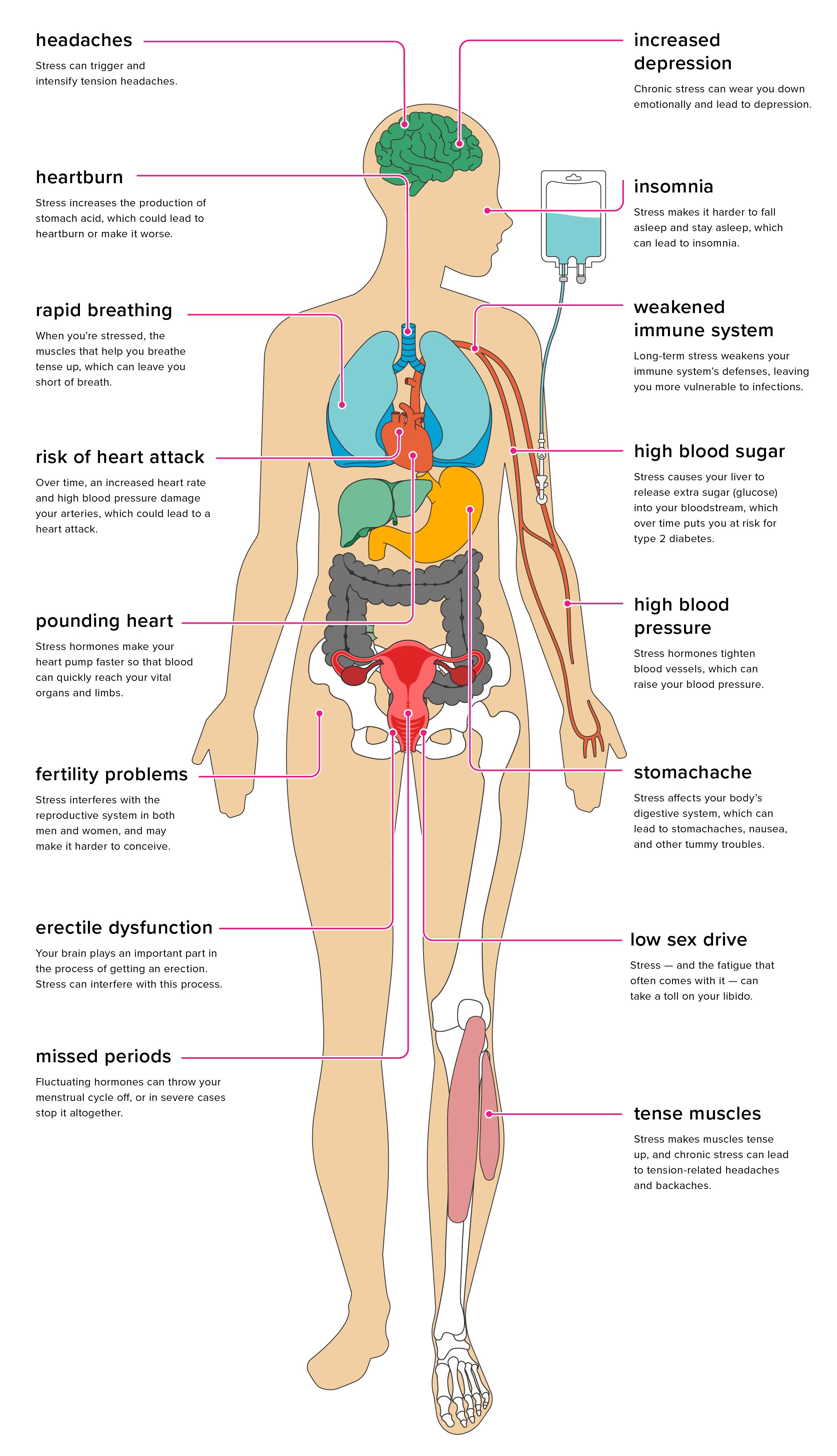 Stress_Effects_Pinterest_2