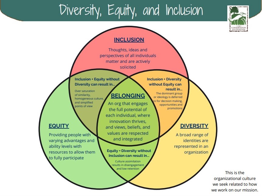 dei-graphic-picture