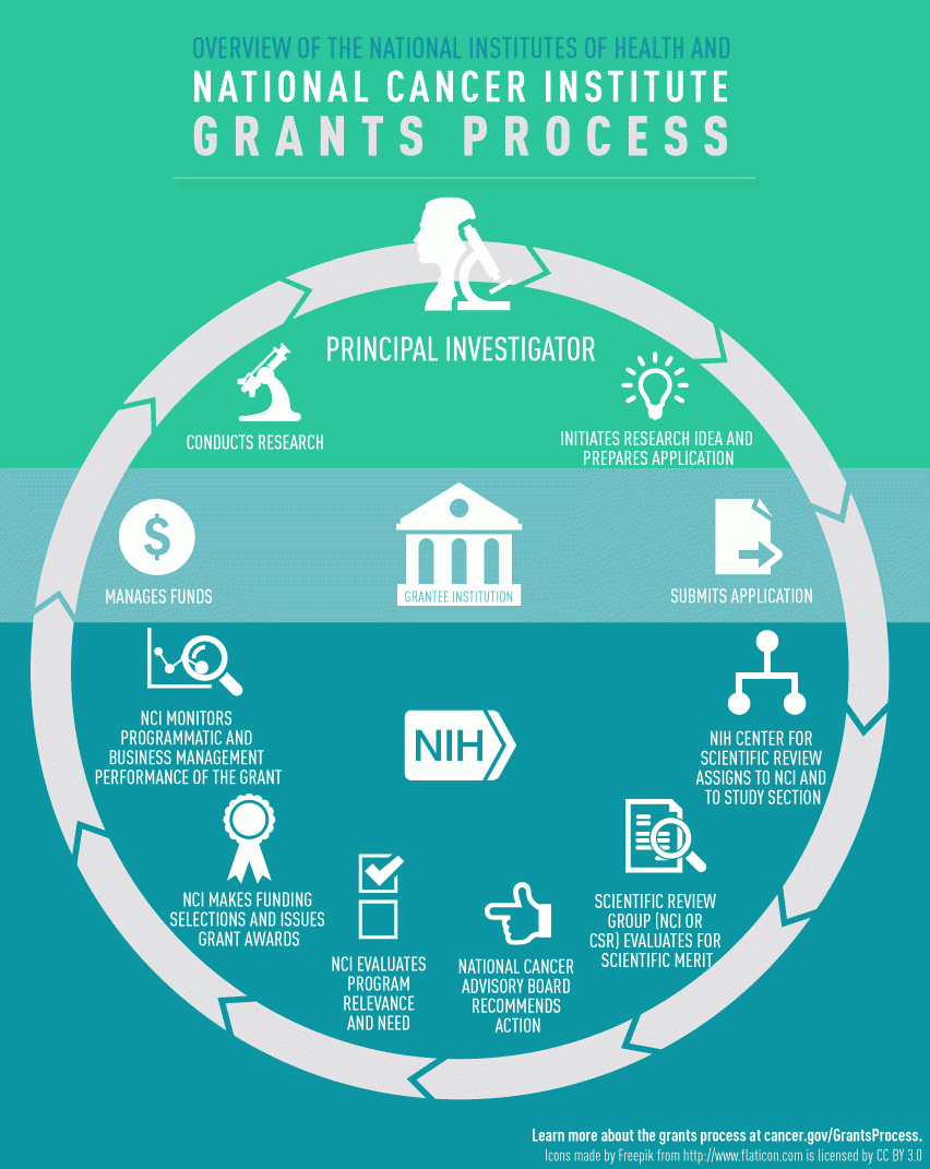 grants-process-overview-infographic